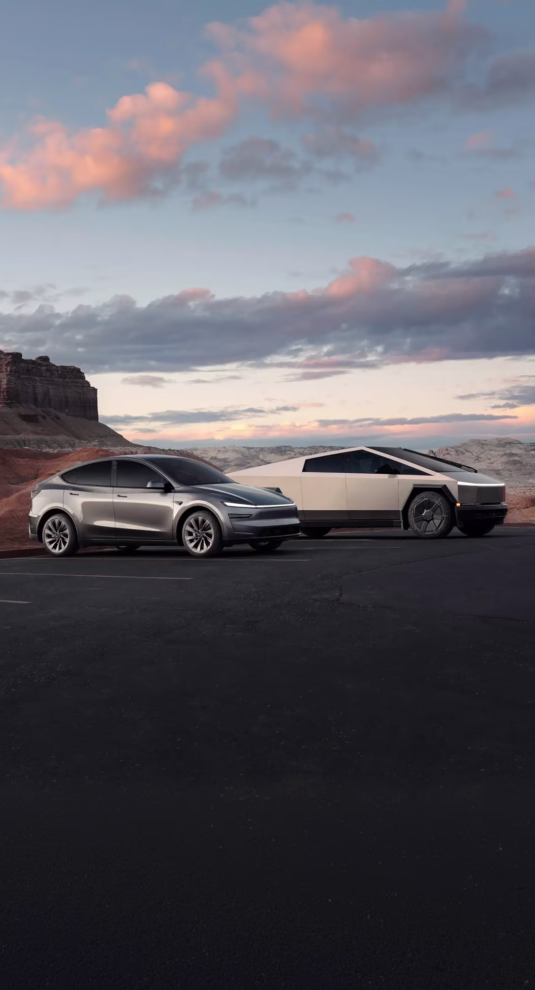Model Y and Cybertruck parked mountain-side.