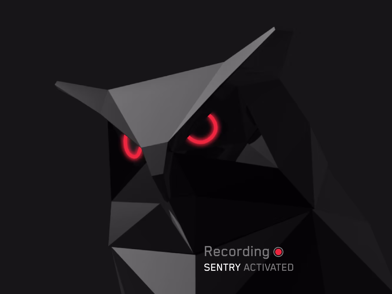 View when Sentry Mode is activated
