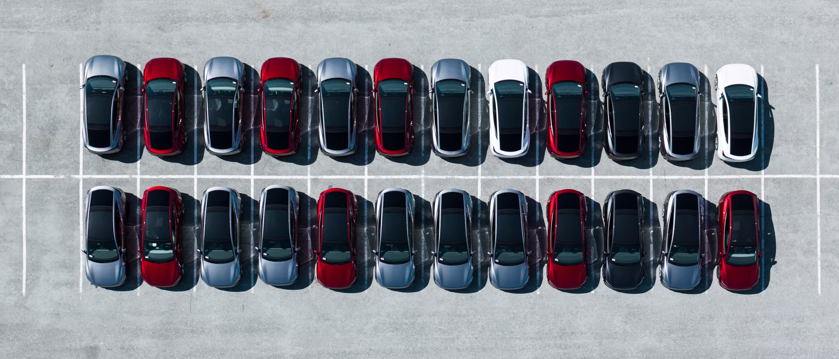 Tesla fleet