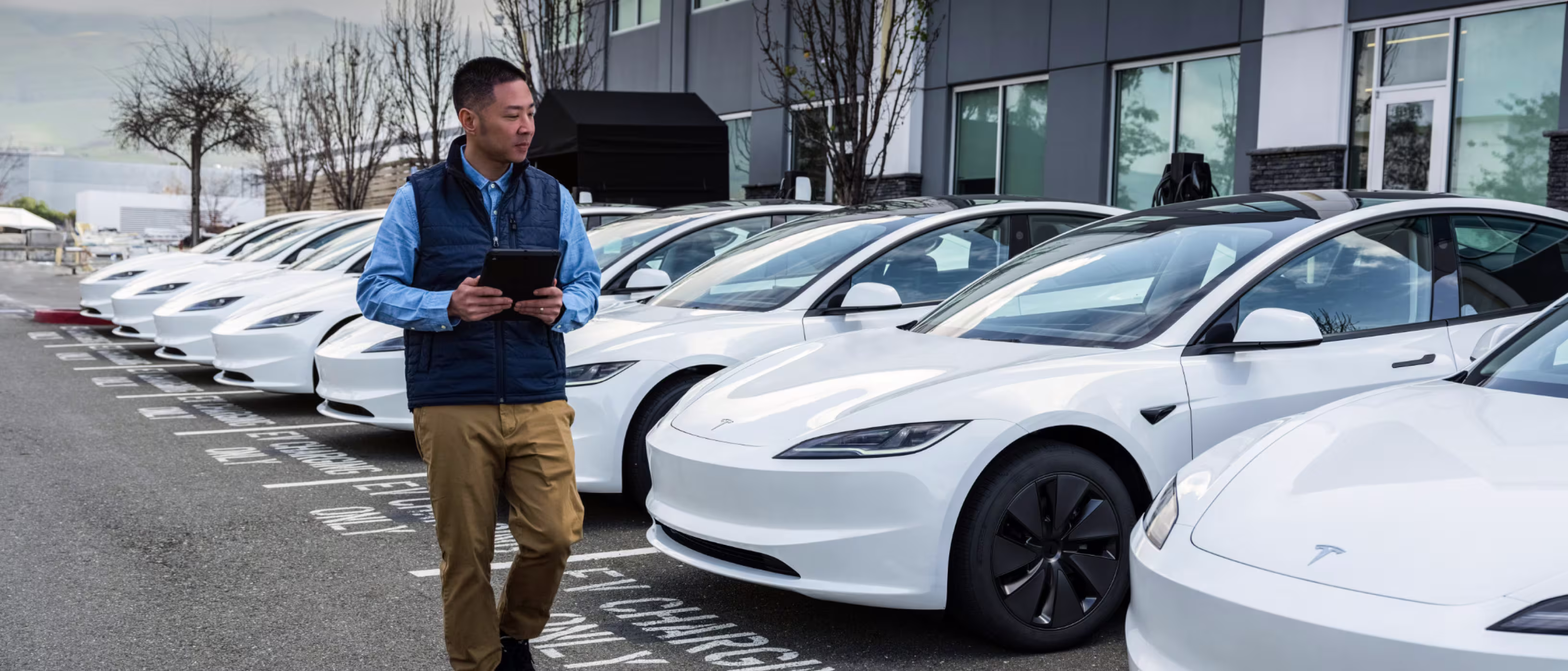 Tesla fleet
