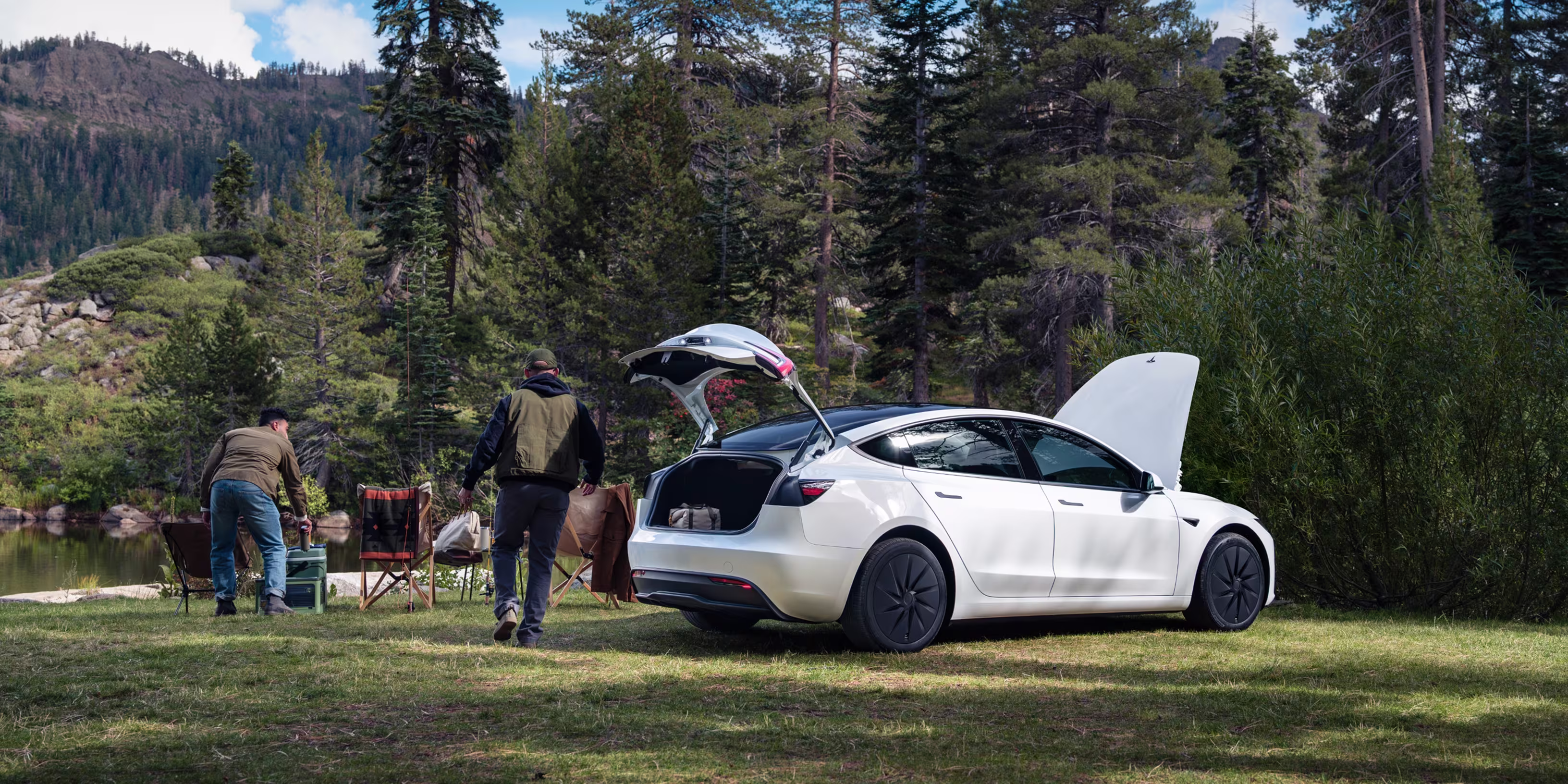 Model 3 Standard Affordable