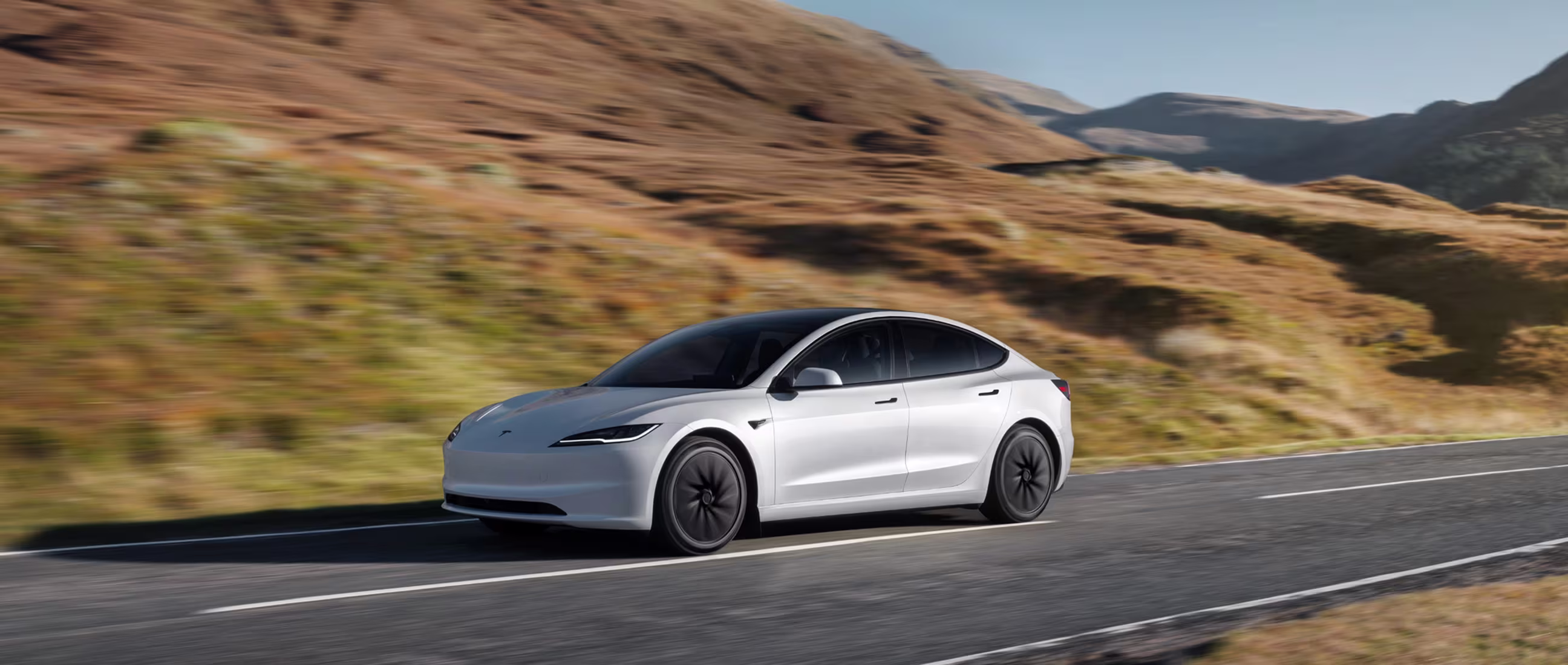 Model 3 Standard