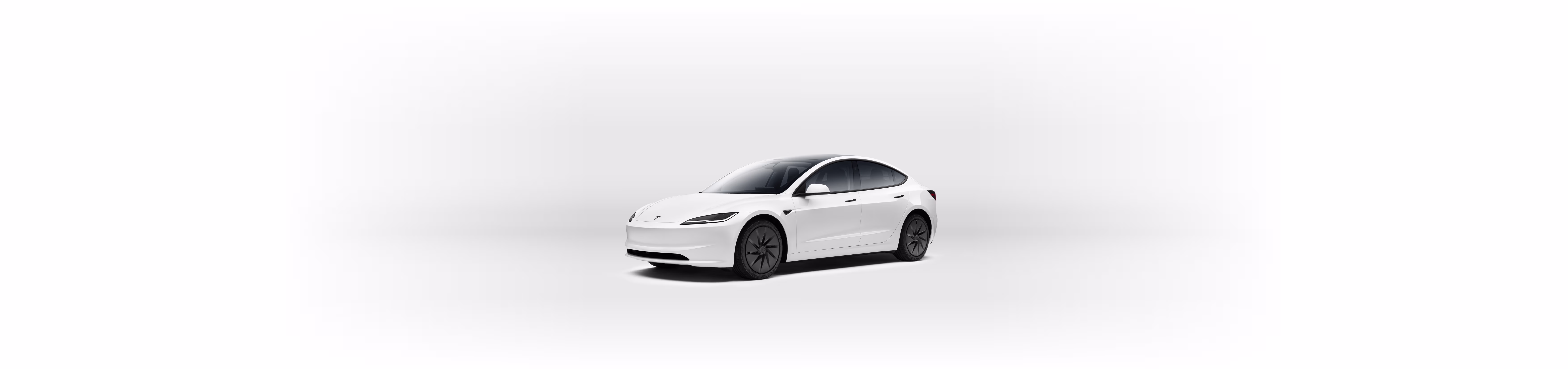 Model 3 Standard