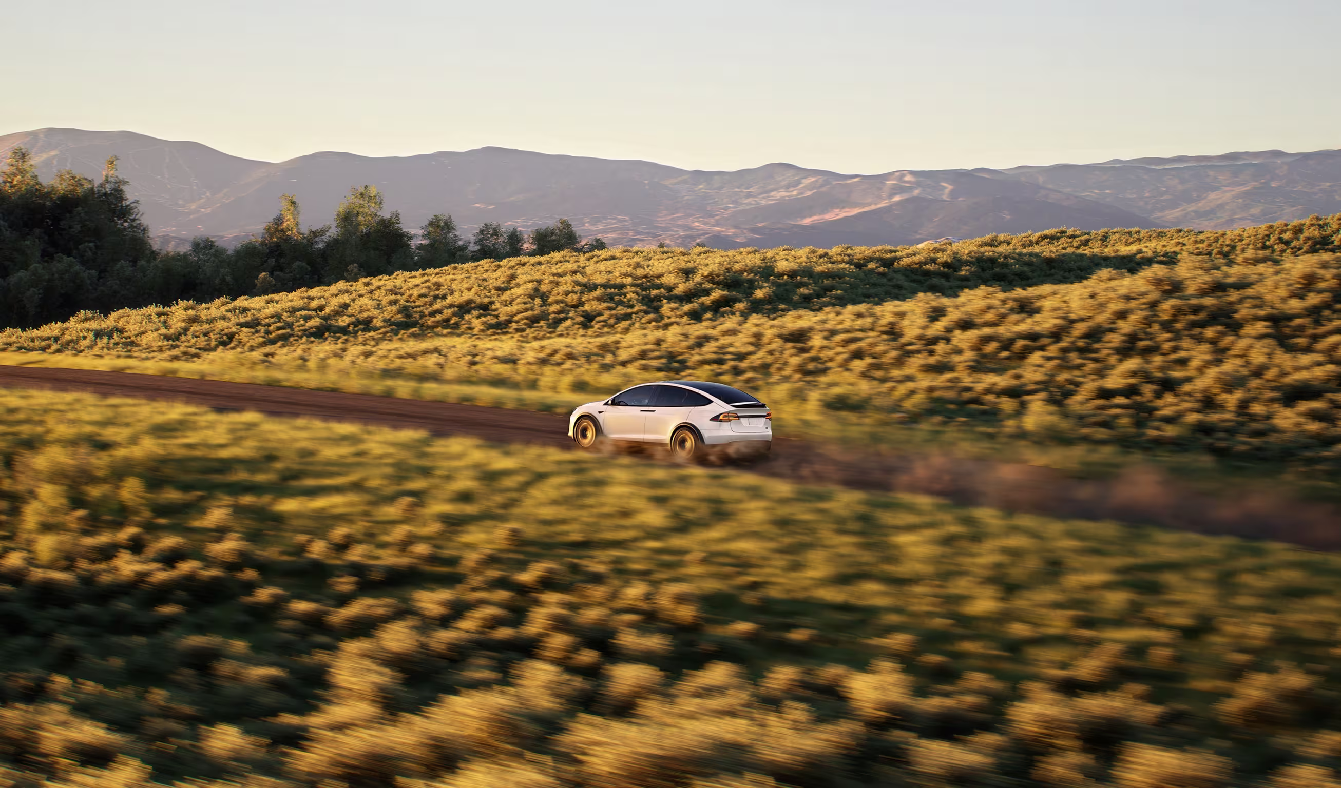 Model X Go Anywhere