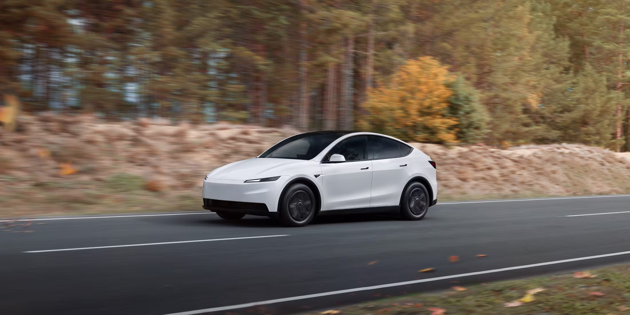 White Model Y driving down an autumn road.